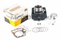 Поршневая Manle EPM-007 52,40 мм Active 110