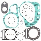 Комплект прокладок двигателя Winderosa 808586