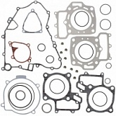 Комплект прокладок двигателя Winderosa 808879
