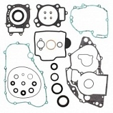 Комплект прокладок двигателя Winderosa 811268