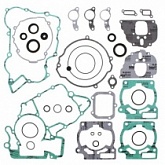Комплект прокладок двигателя Winderosa 811309
