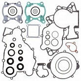 Комплект прокладок двигателя Winderosa 811340