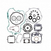 Комплект прокладок двигателя Winderosa 811429