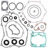 Комплект прокладок двигателя Winderosa 811641