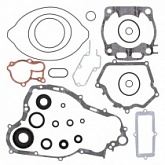 Комплект прокладок двигателя Winderosa 811669