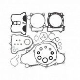 Комплект прокладок двигателя Winderosa 811679