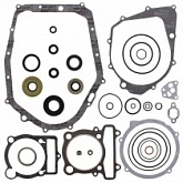 Комплект прокладок двигателя Winderosa 811813