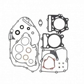 Комплект прокладок двигателя Winderosa 811831