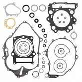 Комплект прокладок двигателя Winderosa 811852