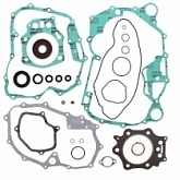 Комплект прокладок двигателя Winderosa 811859