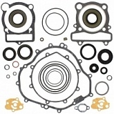Комплект прокладок двигателя Winderosa 811882