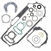 Комплект прокладок двигателя Winderosa 811885