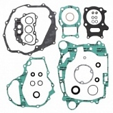 Комплект прокладок двигателя Winderosa 811888