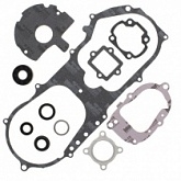 Комплект прокладок двигателя Winderosa 811892