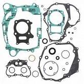 Комплект прокладок двигателя Winderosa 811905