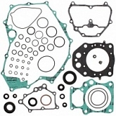 Комплект прокладок двигателя Winderosa 811947