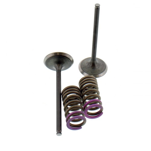 Клапани впускні+пружини Pro-x 28.SIS13362