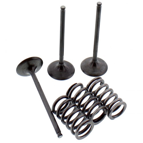 Клапани впускні+пружини Pro-x 28.SIS24242