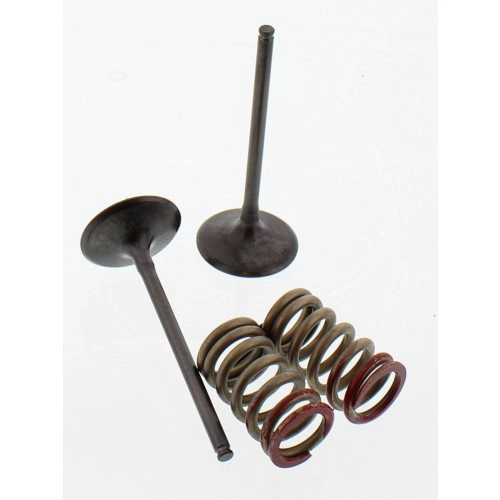 Клапани впускні+пружини Pro-x 28.SIS43352