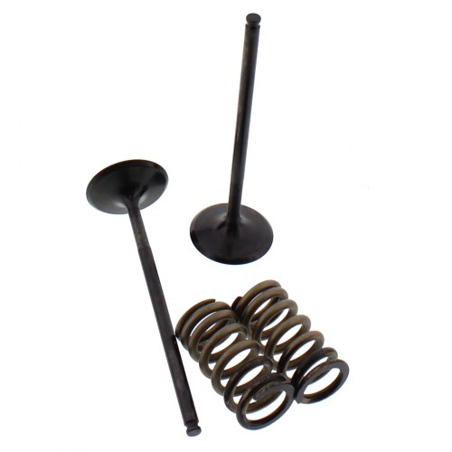 Клапани впускні+пружини Pro-x 28.SIS63292
