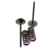 Клапаны впускные+пружины Pro-x 28.SIS13362