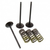 Клапаны впускные+пружины Pro-x 28.SIS24022