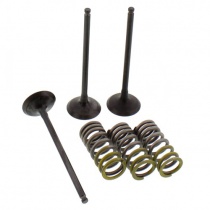 Клапаны впускные+пружины Pro-x 28.SIS24022