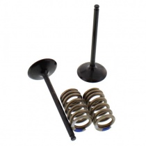 Клапаны впускные+пружины Pro-x 28.SIS24142