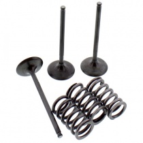 Клапаны впускные+пружины Pro-x 28.SIS24242