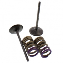 Клапаны впускные+пружины Pro-x 28.SIS43362