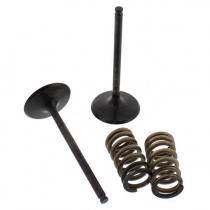 Клапаны впускные+пружины Pro-x 28.SIS63532