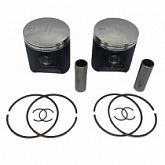 Поршни Wossner K8951D100-2