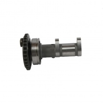 Распредвал Hot Cams HC 4287-1E