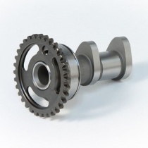 Распредвал Hot Cams HC 2041-1IN