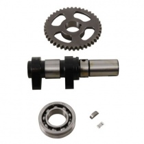 Распредвал Hot Cams HC 5046-1E