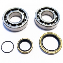 Подшипники коленчатого вала Bearing Worx CBK15001