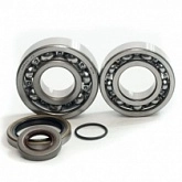 Подшипники коленчатого вала Bearing Worx CBK25001