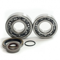 Подшипники коленчатого вала Bearing Worx CBK25001