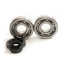 Подшипники коленчатого вала Bearing Worx CBK30010