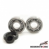 Подшипники коленчатого вала Bearing Worx CBK30004