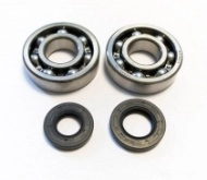 Подшипники коленчатого вала Bearing Worx CBK50004