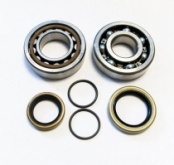 Подшипники коленчатого вала Bearing Worx CBK60003