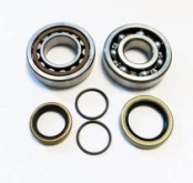 Подшипники коленчатого вала Bearing Worx CBK60003