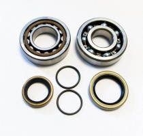 Подшипники коленчатого вала Bearing Worx CBK60003