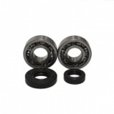 Подшипники коленчатого вала Bearing Worx CBK60006