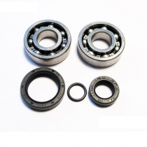 Подшипники коленчатого вала Bearing Worx CBK60011