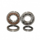 Подшипники коленчатого вала Bearing Worx CBK75003