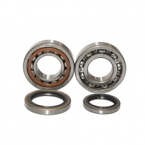 Подшипники коленчатого вала Bearing Worx CBK75003