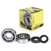 Подшипники коленчатого вала Pro-x 23.CBS60001
