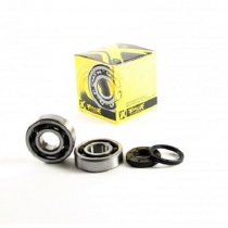 Подшипники коленчатого вала Pro-x 23.CBS60013